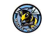 Смазка тефлоновая White Wasp для ЦПГ. 30 мл (WW-GREASE -CYLINDER30)